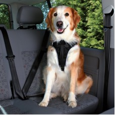 Защитная шлея в авто для собак TRIXIE - Dog Protect, 65-80 см / 25 мм, 